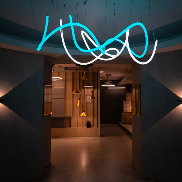 round neon light OEM round neon light OEM